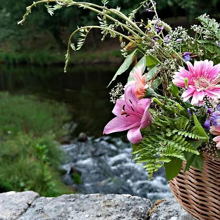 Casa Dos Moinhos Do Chao Do Mosteiro 3*