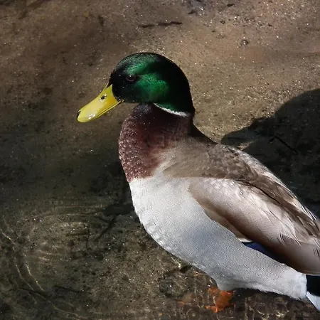 Casa Dos Moinhos Do Chao Do Mosteiro 3* São Pedro do Sul