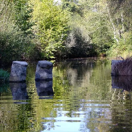 Πανσιόν Casa Dos Moinhos Do Chao Do Mosteiro São Pedro do Sul