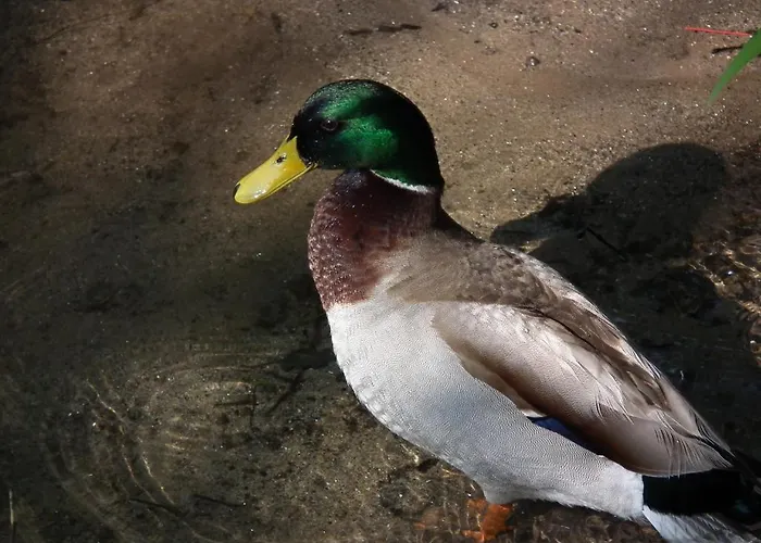 Casa Dos Moinhos Do Chao Do Mosteiro 3* São Pedro do Sul