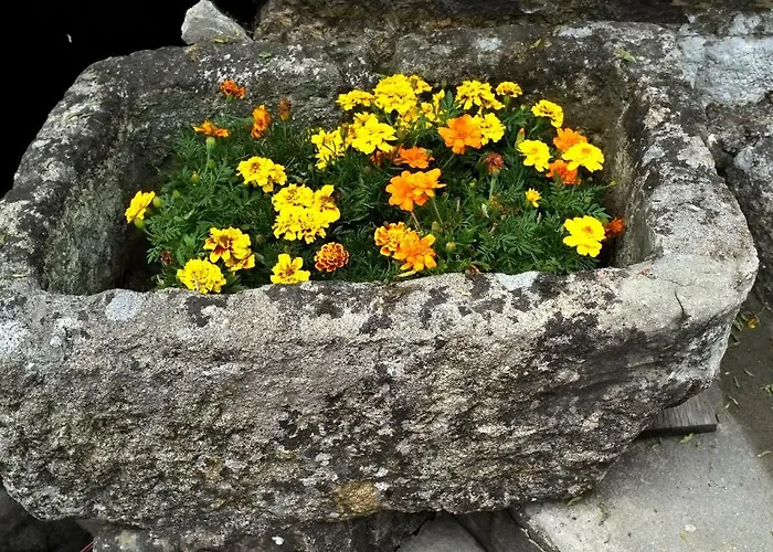 Casa Dos Moinhos Do Chao Do Mosteiro São Pedro do Sul