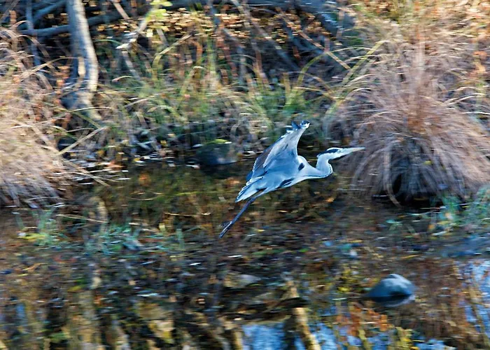 Casa Dos Moinhos Do Chao Do Mosteiro Konukevi São Pedro do Sul