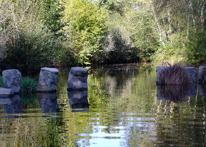 Konukevi Casa Dos Moinhos Do Chao Do Mosteiro São Pedro do Sul